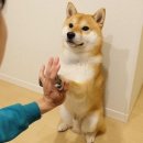 스테이홍천 이미지