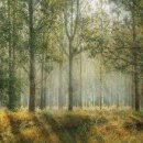 명상요가 이미지