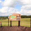 서해8농장 이미지