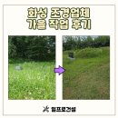조경당 | 화성 조경업체 가을 작업 후기