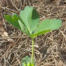 금강요양병원 이미지