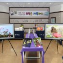 산척초등학교 이미지