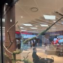 지에스25 고덕레이크점 | 강동 아이파크 더 리버몰 직접 방문 후기 (cgv고덕강일/주차꿀팁/이케아)