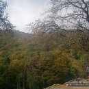 보령-미산-2 Daum카페