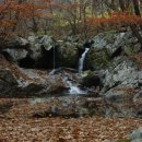 소백산 자락길 이미지