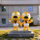 각화도매시장 광주채소 이미지