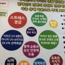 마리엔스 이미지