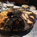 분당곤충마을 네이버블로그
