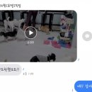 개라다이스 이미지