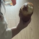 버밀당베이커리 | 문래 빵집 ㅣ 오랜만에 다시 찾은 버밀당! 소금빵부터 명란바게트까지 솔직 후기 🥐