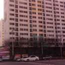 수타피자 이미지