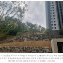 영흥숲푸르지오파크비엔 | 수원시 영통구 영흥공원 푸르지오 파크비엔 분양가 매매가 차이 입주 거주 환경 단점 장점