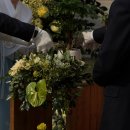 [공지] W.Final [국회의사당 사랑재] 봄 야외 결혼식 💍🤍