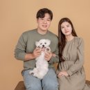 항상봄처럼 스튜디오 이미지