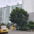 영남공인중개사사무소 이미지