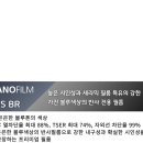 이지스모터스