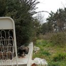 해인약국 이미지