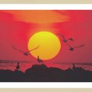 일출로2 이미지