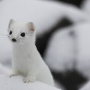 어린이마음 이미지