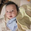 영광헬스클럽 | 512/버즈3/갤럭시S/갤럭시S26울트라 색감/갤럭시S26울트라AI/갤럭시S26울트라 후기/구매후기/내돈내산