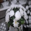 용두홍어 | 동부시립병원장례식장 준비 음식 이야기해드려요