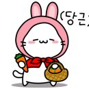 김군세차장 이미지