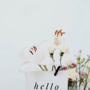 헬로우라이프 이미지