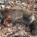 가창파출소 이미지