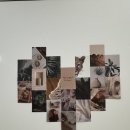 장안사거리 이미지