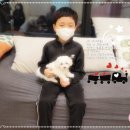 은아 펫 타운 이미지