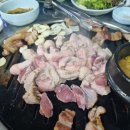 마포주먹고기 Daum카페