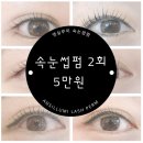 앤실루미