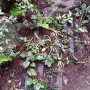 마로니에 하우스 이미지