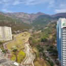 자은근린공원 | 26년 진해 군항제기간 숨은 벚꽃 및 갓꽃명소 냉천근린공원 힐링후기