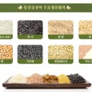 알콩쌀콩 등대마을 이미지