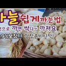 [마늘쉽게까는법]마늘이걸로까면대박!|김장준비|마늘까기20초. 이미지