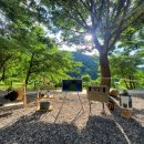 포레스트캐빈앤캠프 이미지