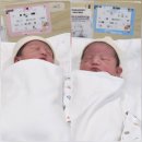 더드림산부인과의원 | 쌍둥이 제왕절개 37주 후기 강동드림산부인과