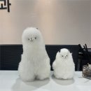 수정형외과의원 이미지