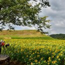 연천호로고루 이미지