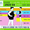 꽃보다점핑