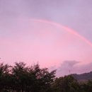 황금에너지 이미지