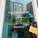 항상,예쁘개 이미지