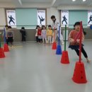 자이태권도 이미지