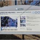 완도대교 호스텔 이미지