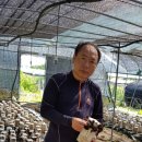 일번지농장 이미지