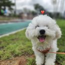 아우룸헤어울산점