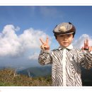 주성목장 Daum카페