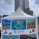 피엘디 이미지