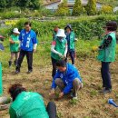 우리가 가꾸는 꽃길 이미지